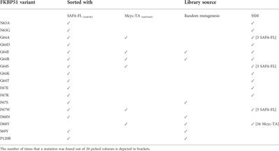 Binding pocket stabilization by high-throughput screening of yeast display libraries